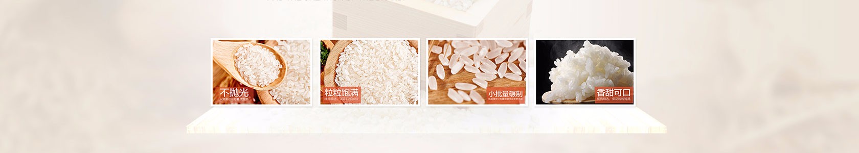 can sports betting be a career