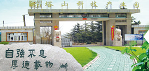 como atualizar o bet sport club