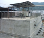 como apostar no rei do bet