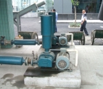 como apostar multipla ne bet 365 podendo errar uma